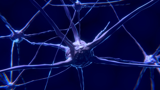 脳内のシナプスがネットワークで繋がっている様子をイメージした画像