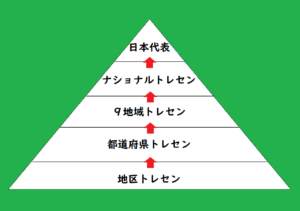 日本型選手育成システムのイラスト